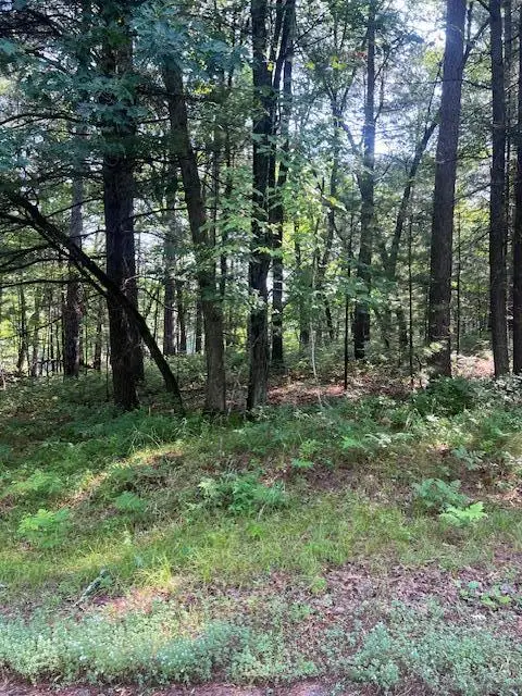 Lot 27 Little Bear Drive, Danbury, WI 54830 - #3