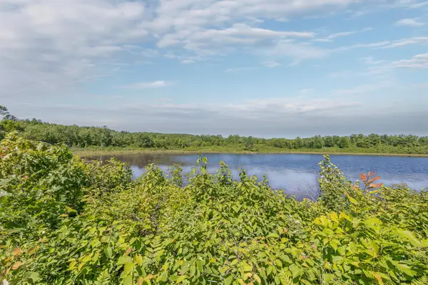 TBD. Kestrel Trail Nw, Hackensack, MN 56452