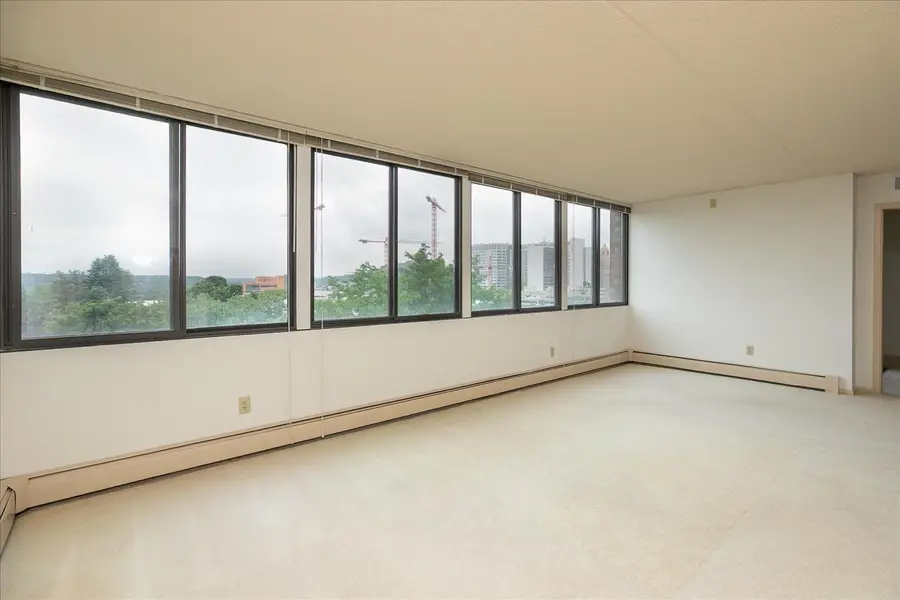 600 4th Street Sw #605, Rochester, MN 55902 - #2