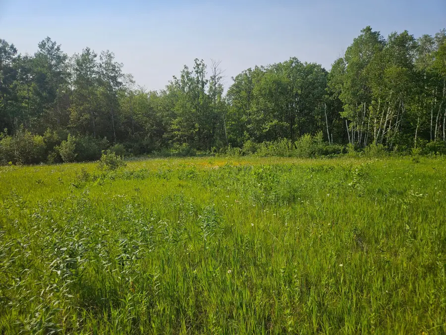 TBD County Road 36, Crosby, MN 56441 - #3