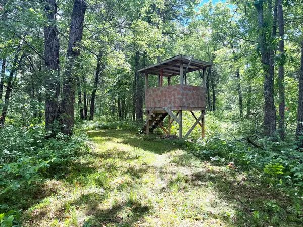 TBD-39AC North River Road, Danbury, WI 54830