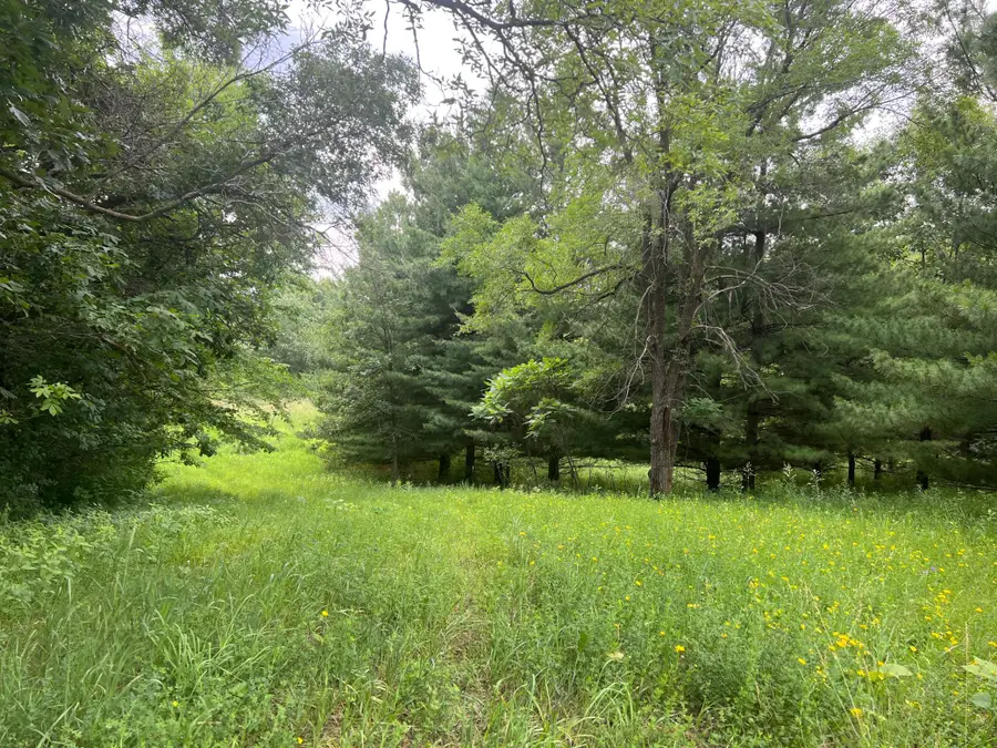 TBD 50th Street W, Webster, MN 55088 - #3