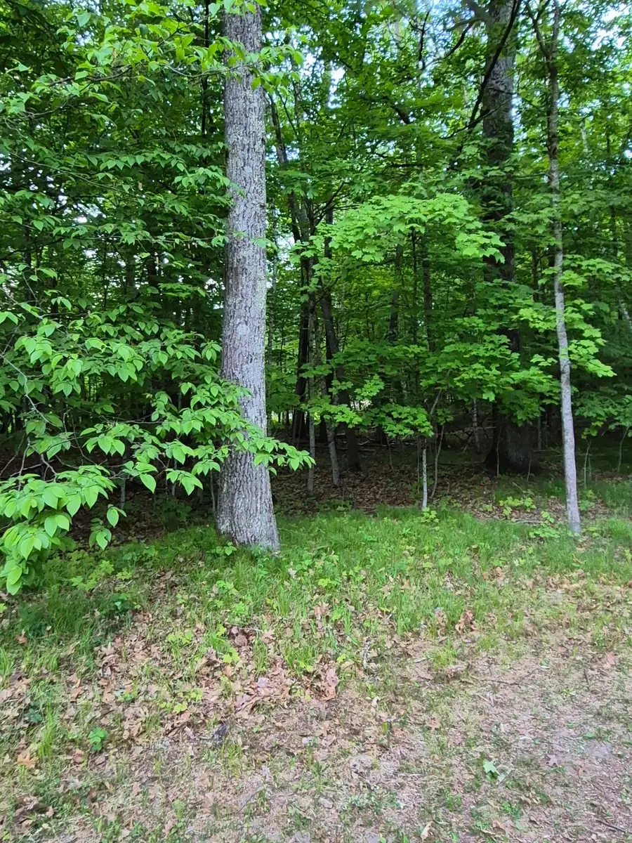 TBD, Lots 310, 353, and 354 195th Place, McGregor, MN 55760 - #2