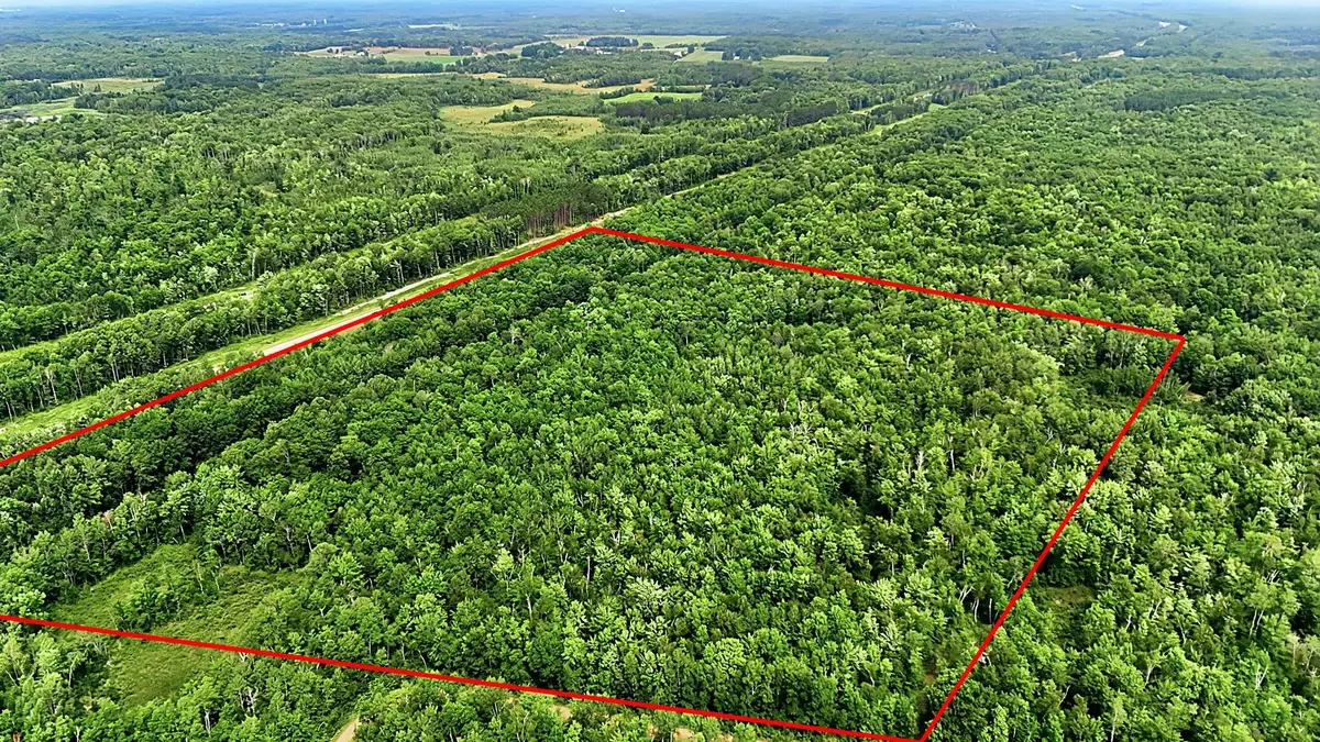 TBD Taylor Birch Rd, Barry, MN 55037 - #1