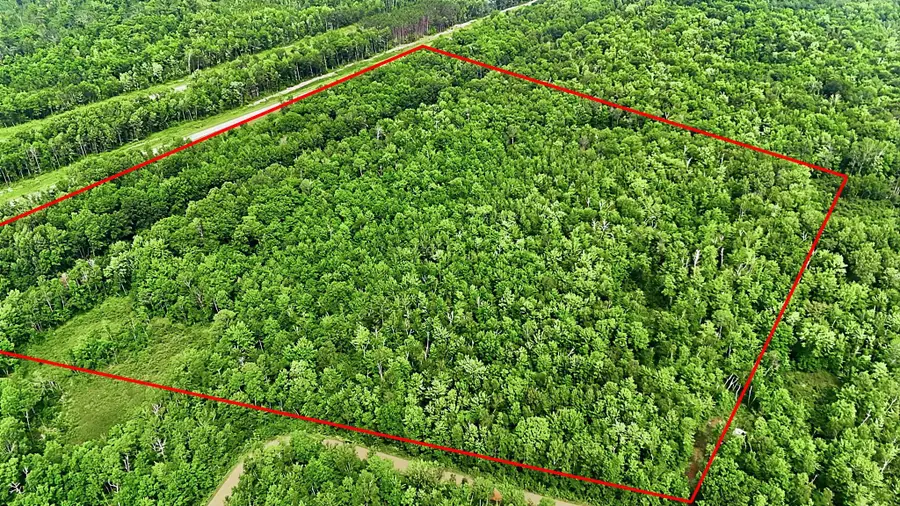 TBD Taylor Birch Rd, Barry, MN 55037 - #3