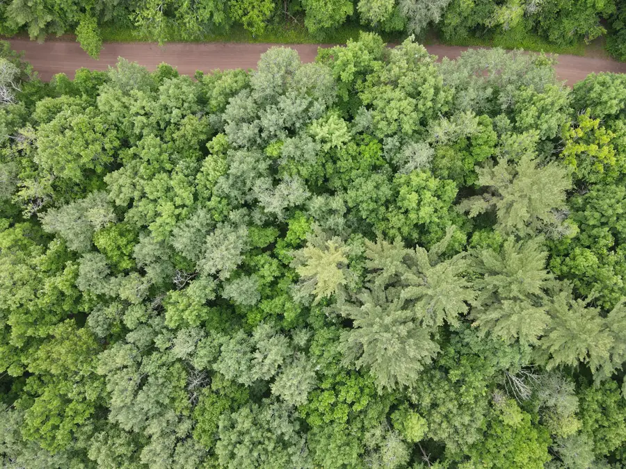 LOT 2 Wilderness Retreat, Pine City, MN 55063 - #3