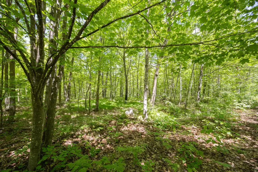 TBD Island View Drive Ne, Longville, MN 56655 - #3