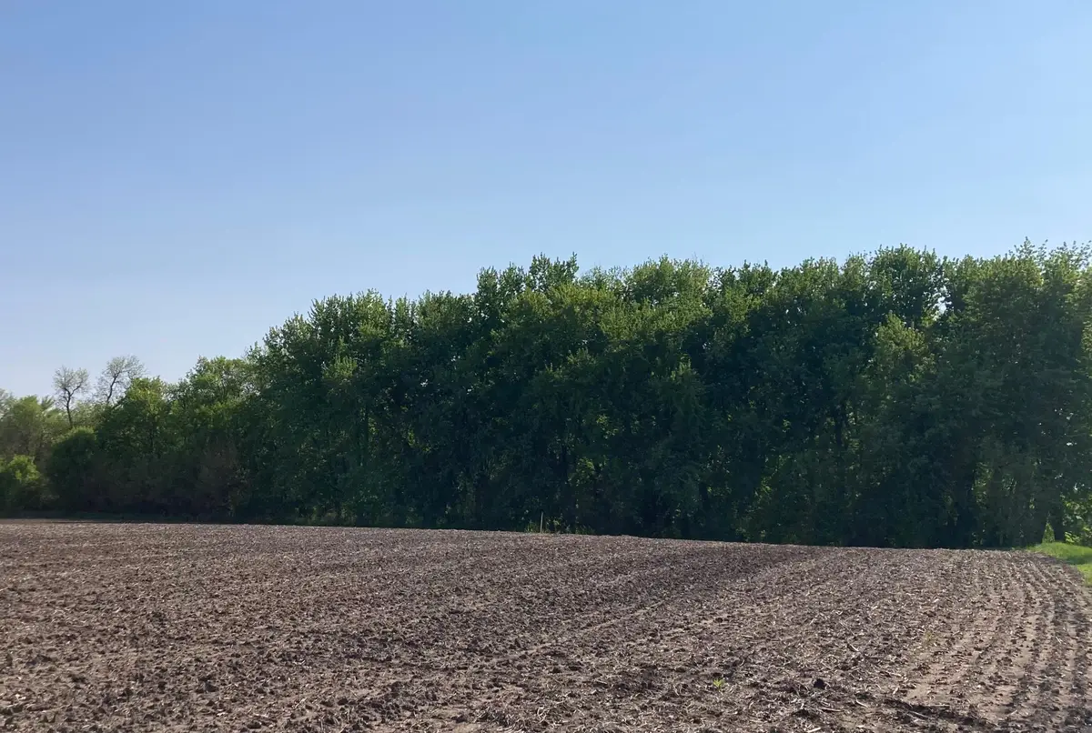 Lot 6&7 Mckinney Dr, Windom, MN 56101 - #1