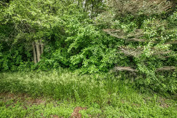 3122 Blackheath Drive, Saint Cloud, MN 56301