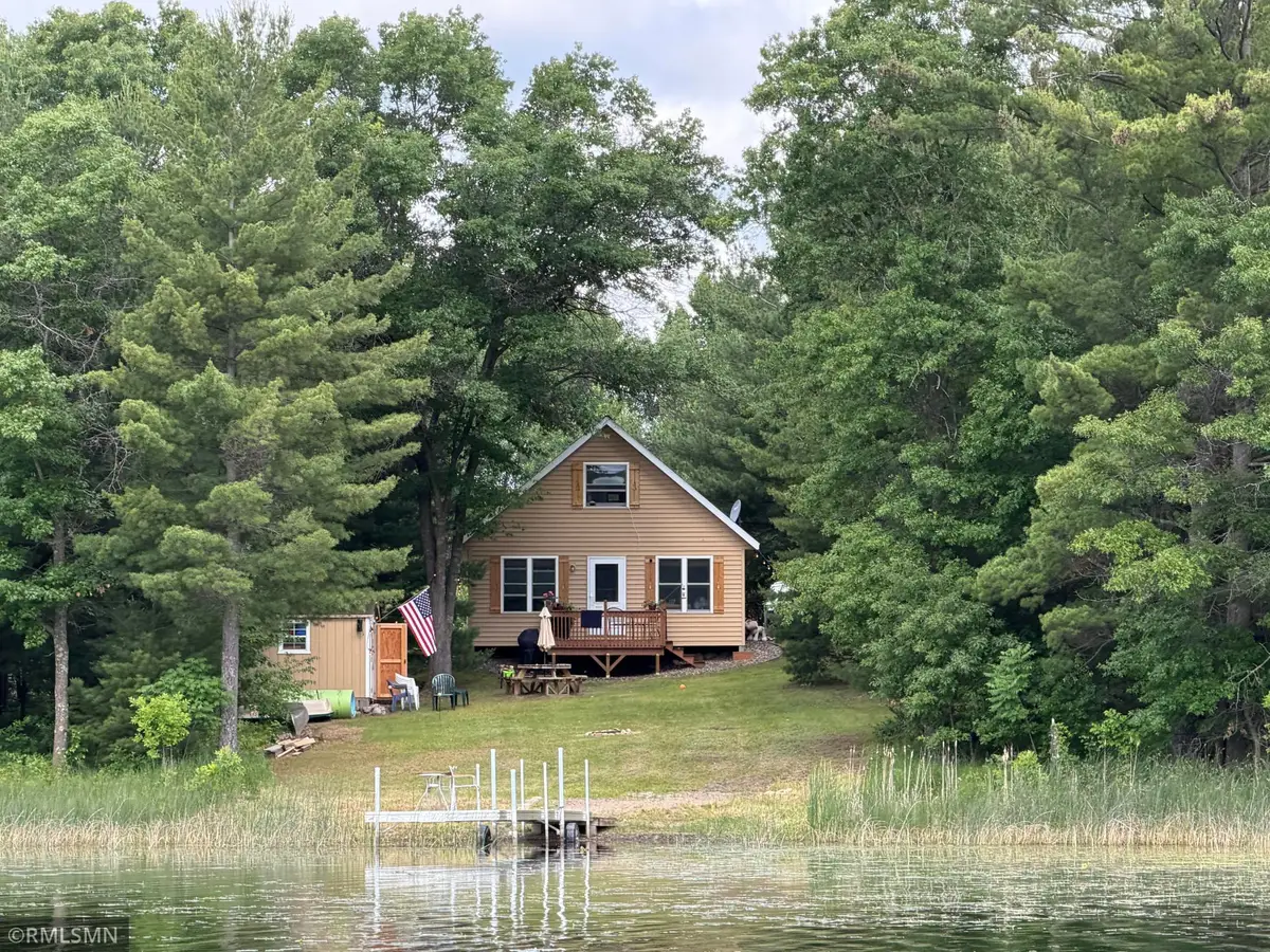 39806 Pine Island Point Trail, Browerville, MN 56438 - #1