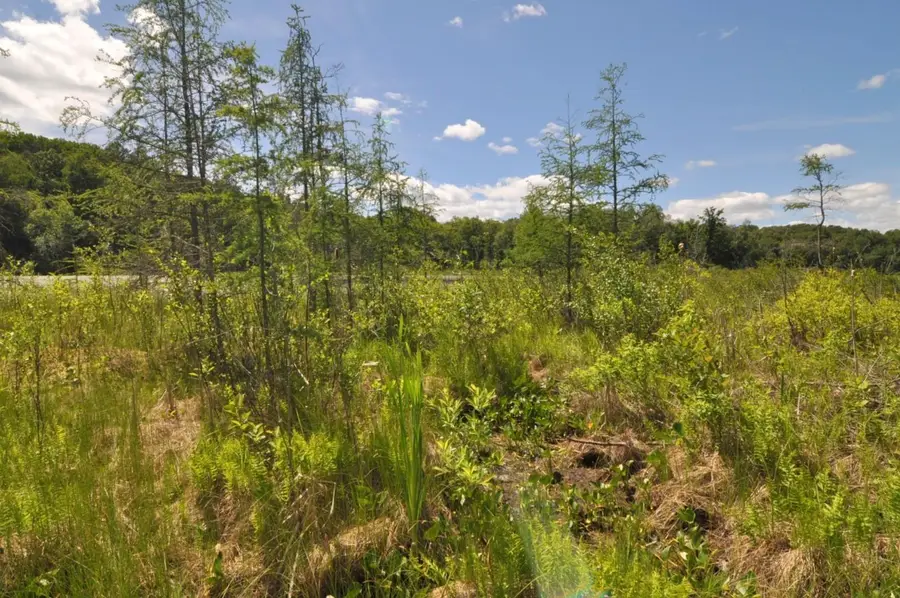 Lot 2 Evening Vista Trail Nw, Shingobee, MN 56433 - #2