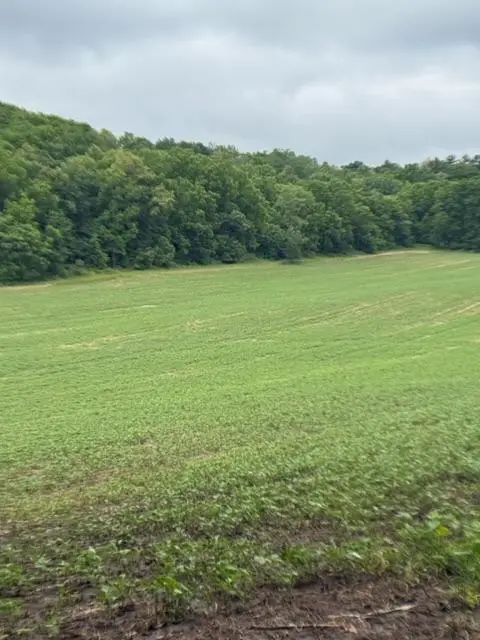 TBD Back Valley Road, Pepin, WI 54759