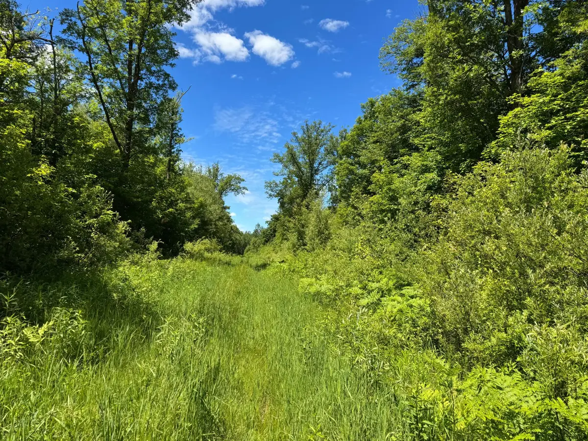 TBD 300th Lane, McGregor, MN 55760 - #1