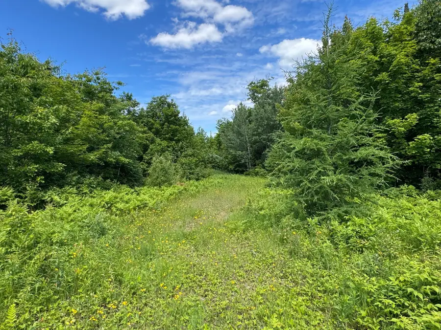 TBD 300th Lane, McGregor, MN 55760 - #3