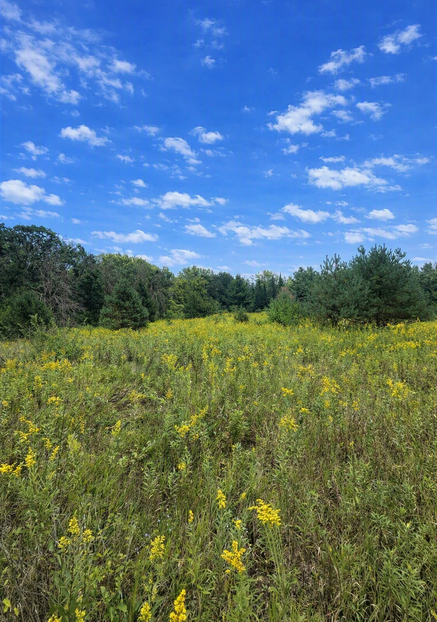 xxxx Jeffrey Boulevard, Grant, MN 55082 - #3