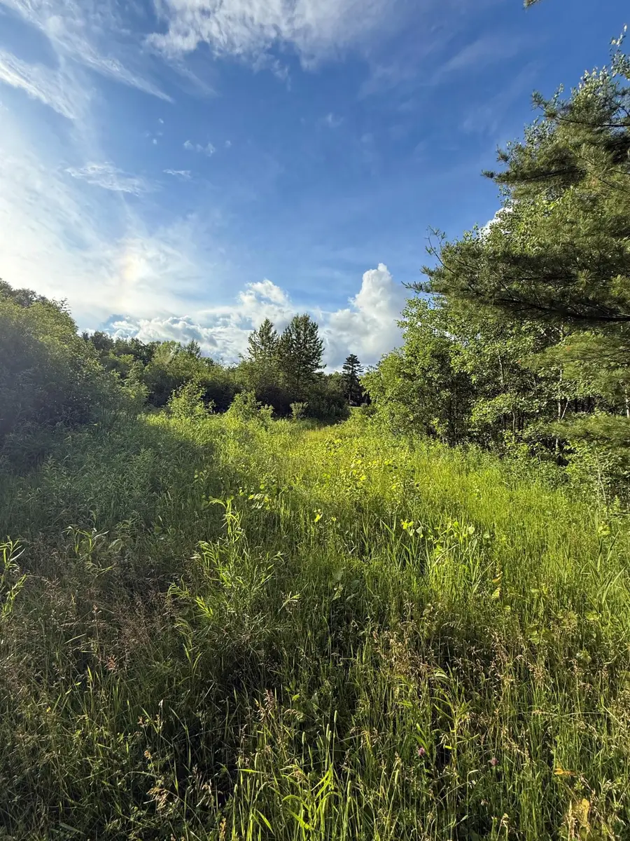 3xxx 100th Avenue, Onamia, MN 56359 - #2