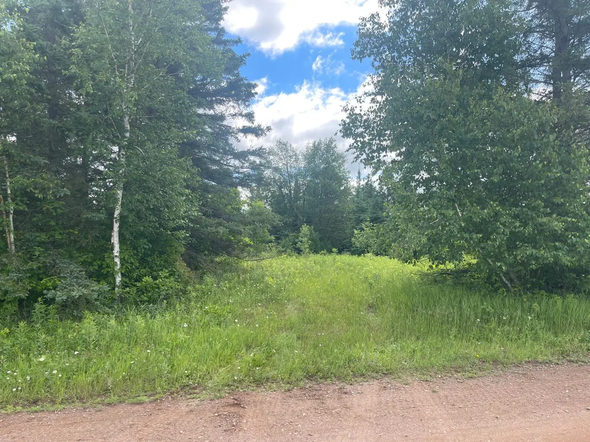 TBD Sjodahl Road, Sandstone, MN 55072 - #1