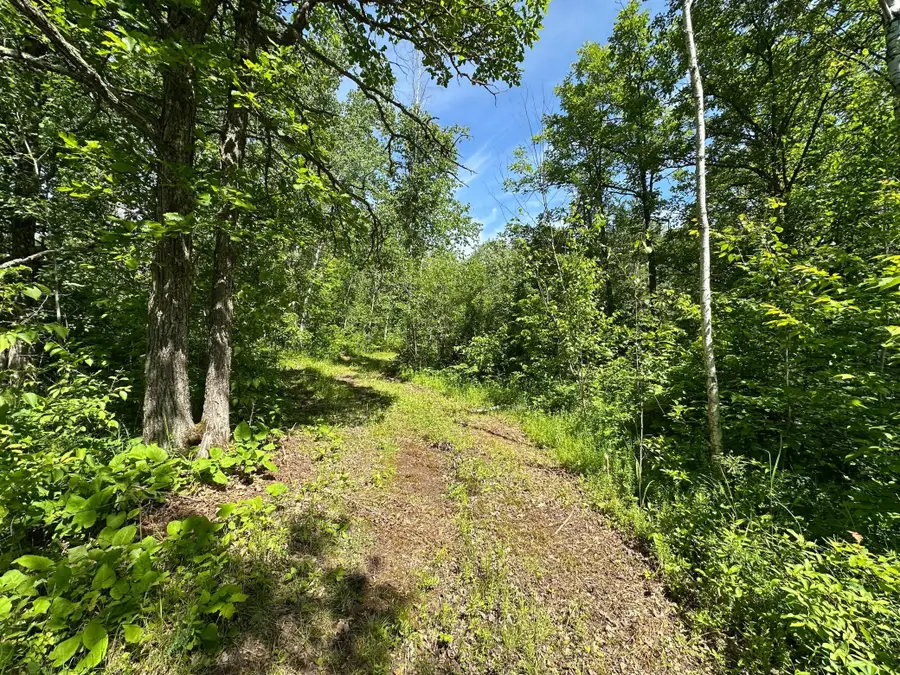 TBD Oak Leaf Road, Kerrick, MN 55756 - #2