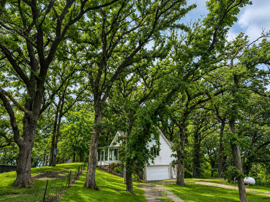 7798 Highway 218, Owatonna, MN 55060 - #3