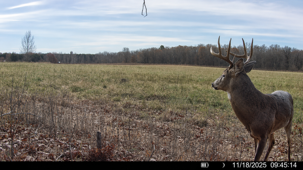 TBD County Road D, Emerald, WI 54013