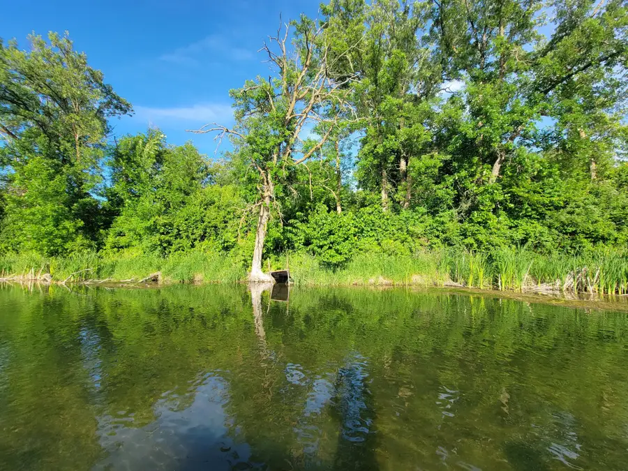 40130 460th Avenue, Perham, MN 56573 - #2