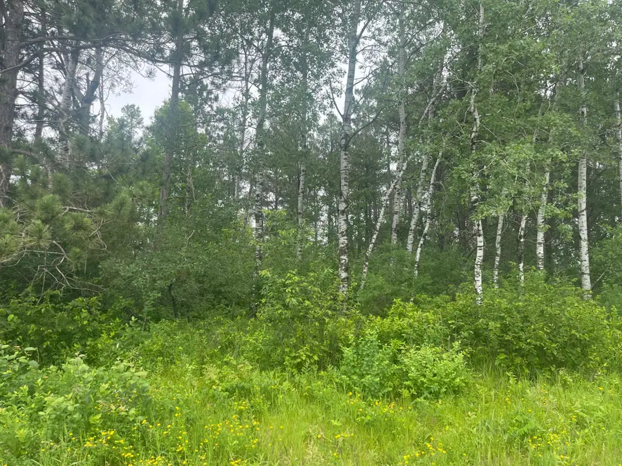TBD Degerstrom Road, Askov, MN 55704 - #2