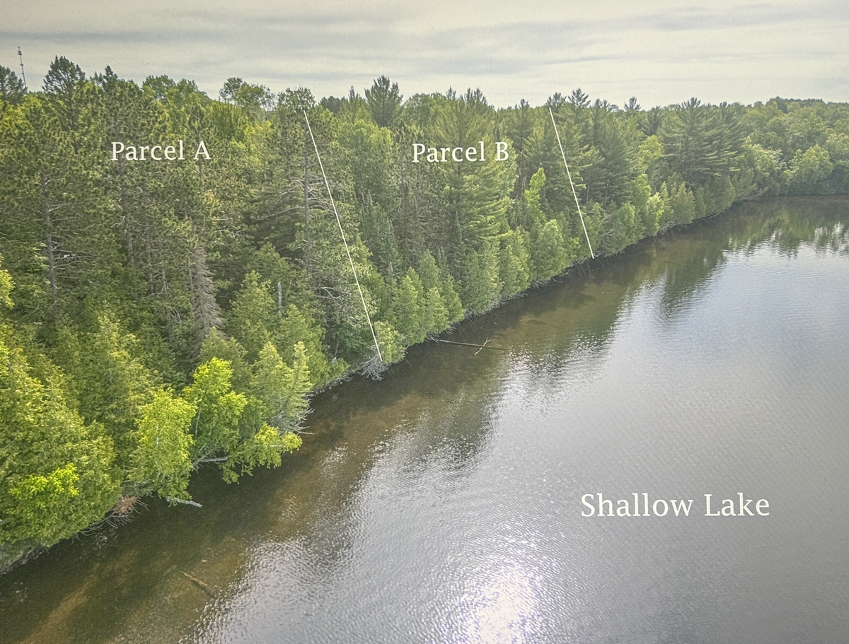 TBD (Parcel B) North Shallow Lake, Warba, MN 55793 - #1