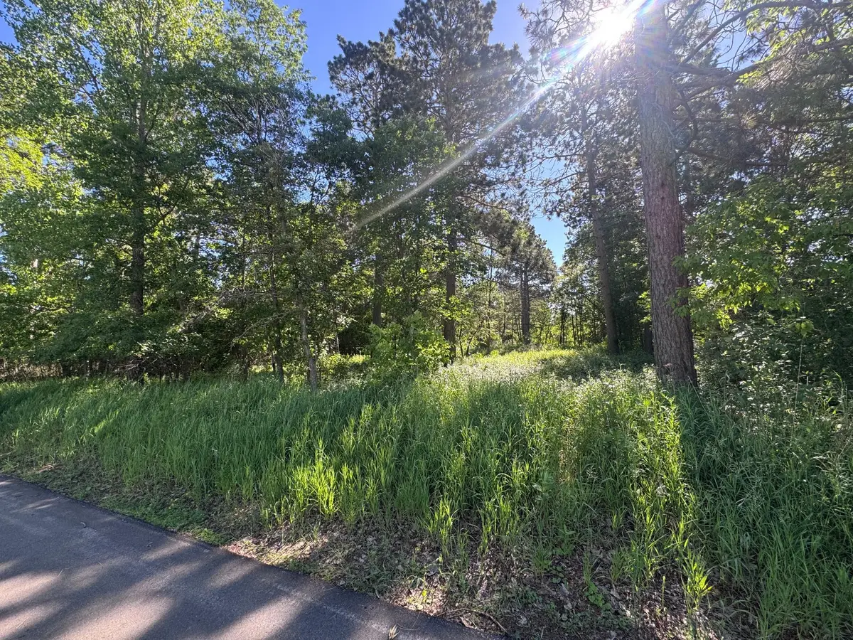 TBD Franklin Avenue, Park Rapids, MN 56470 - #1
