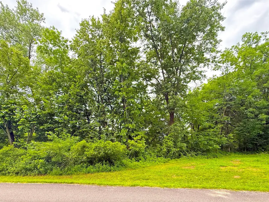 tbd Hart Avenue Nw, Annandale, MN 55302 - #2