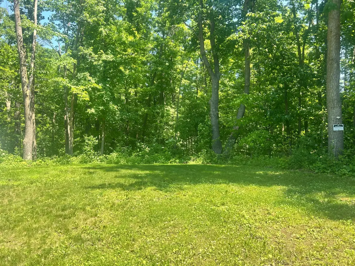 6966 Lake Camile Drive, Randall, MN 56475 - #1