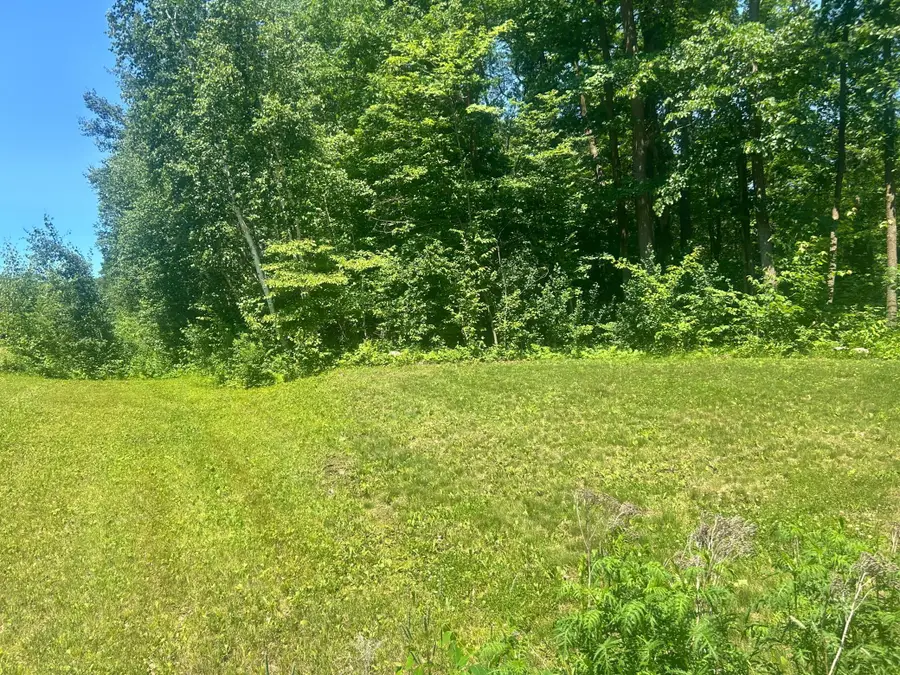 6966 Lake Camile Drive, Randall, MN 56475 - #3