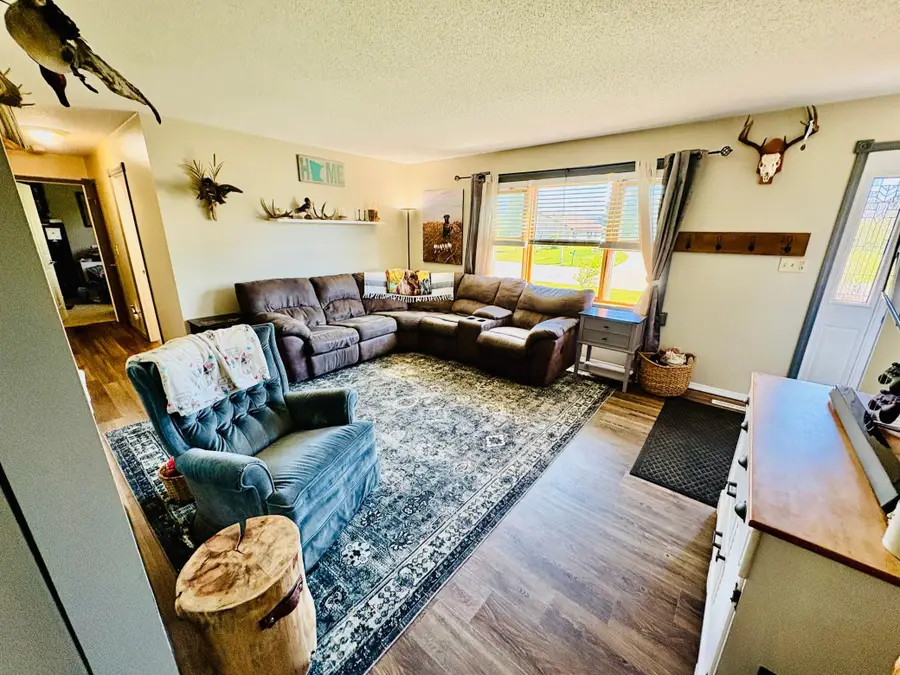 305 Lincoln Court Sw, Warroad, MN 56763 - #3