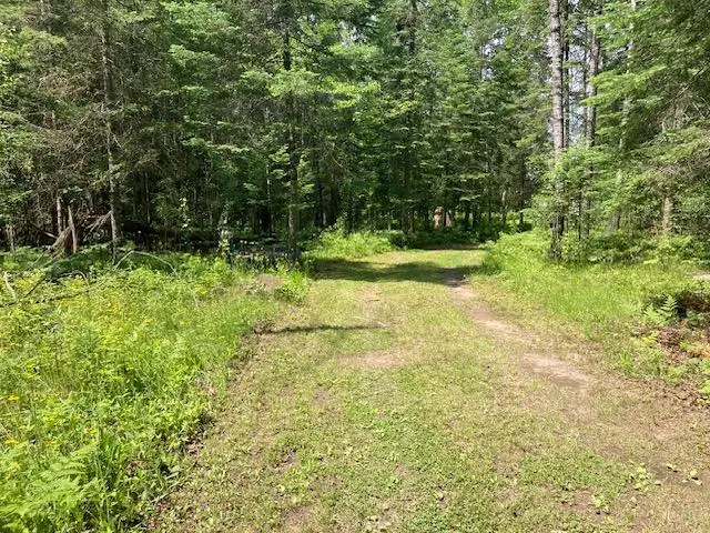 11919 Luna Lake Road, Side Lake, MN 55781 - #2