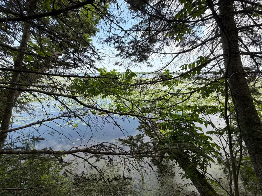 Lot 2 S Gull Lake Rd Sw, Port Hope, MN 56647 - #3