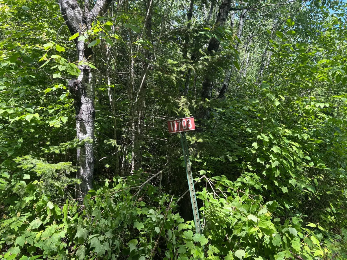 11703 Jacobs Road, Orr, MN 55771 - #1