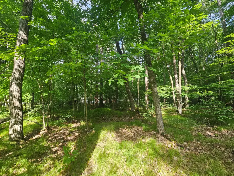 TBD Whitefish Avenue, Crosslake, MN 56442 - #2