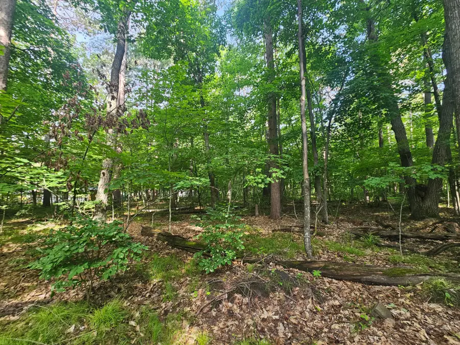 TBD Whitefish Avenue, Crosslake, MN 56442 - #3