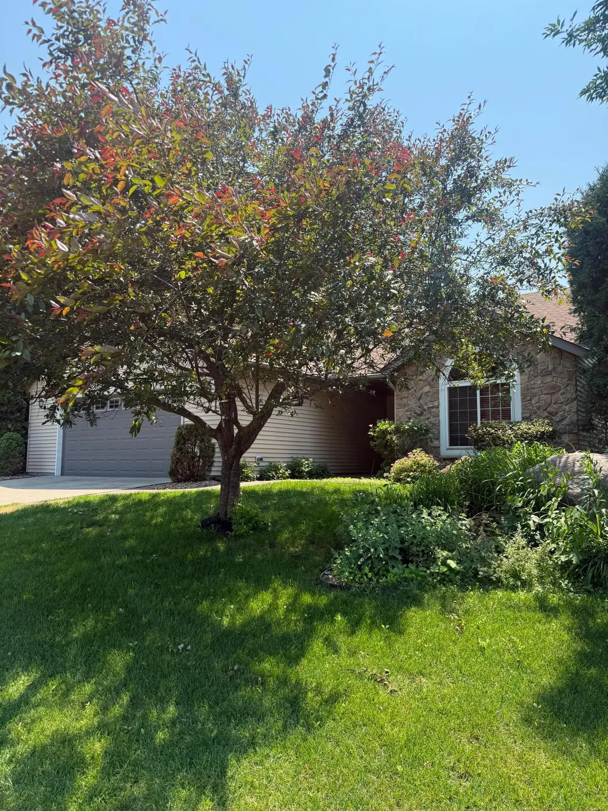 1004 Oak Pond Drive, Sartell, MN 56377 - #1