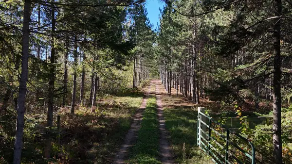 TBD BB Mann Road, Spooner, WI 54801