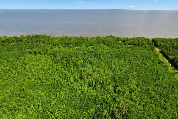 TBD Sandberg Road Ne, Kelliher, MN 56650
