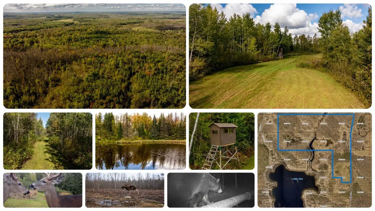 384 Acres TBD Little Pine Road, Emily, MN 56447 - #1