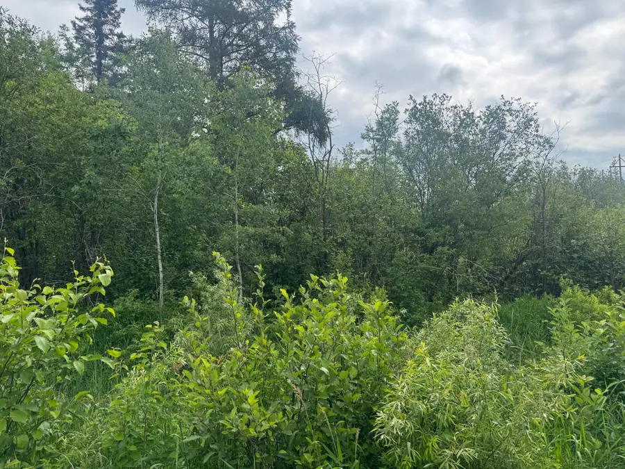 TBD Quaal Road, Forbes, MN 55738 - #3