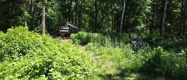 33810 Wildberry Lane, Pequot Lakes, MN 56472 - #1