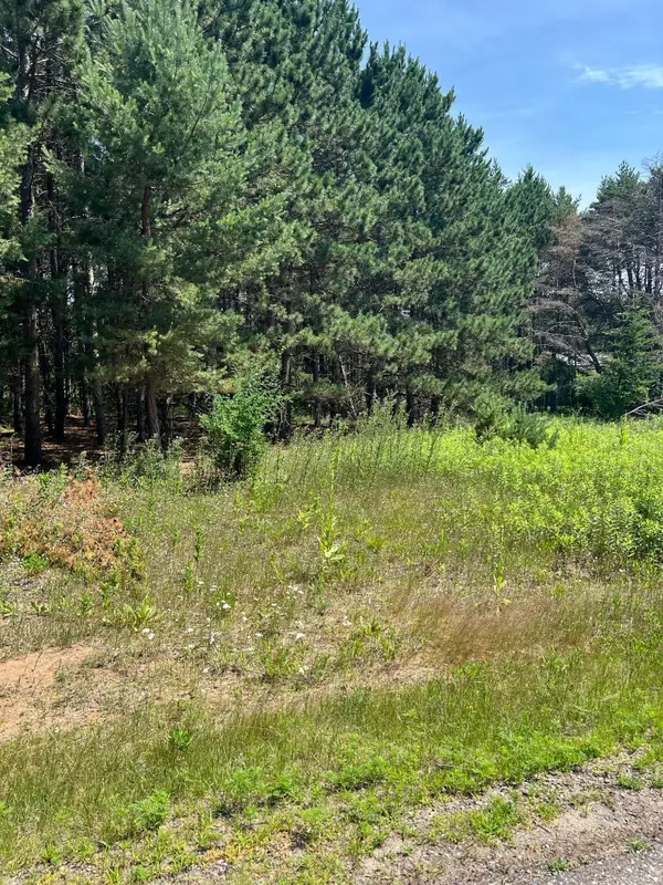 TBD Thomas Drive, Little Falls, MN 56345