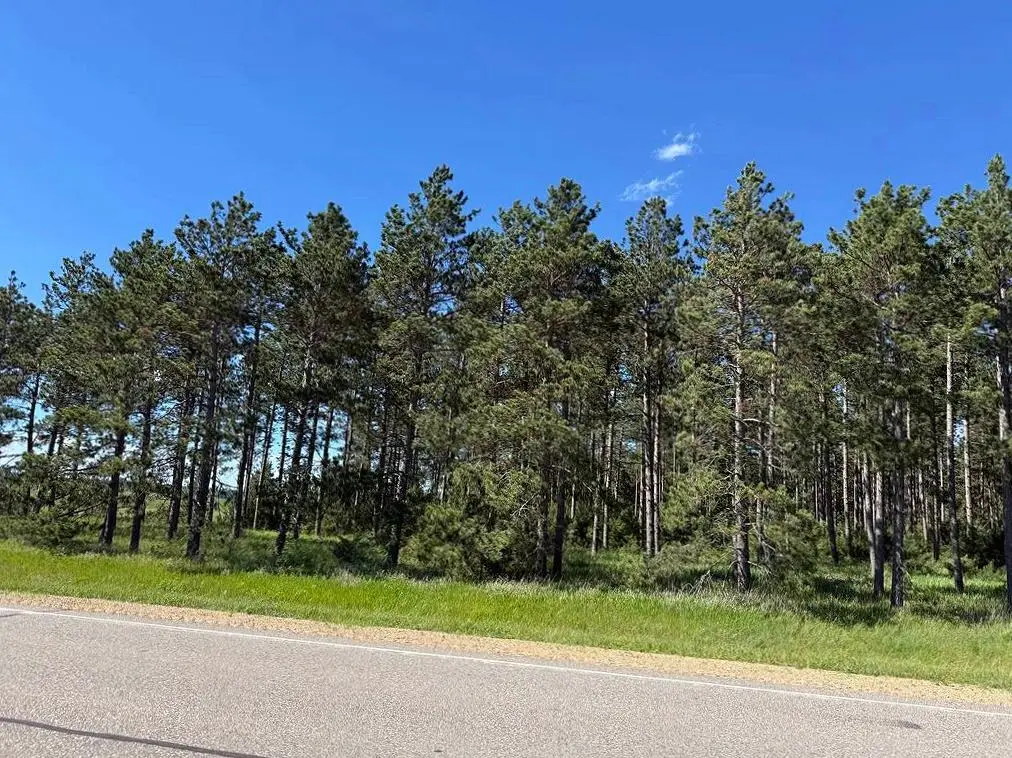 TBD County 48, Park Rapids, MN 56470 - #1