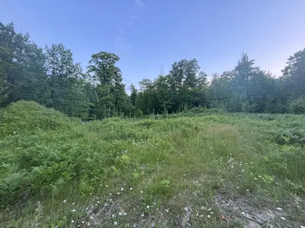 39987 Cass Line Road, Laporte, MN 56461