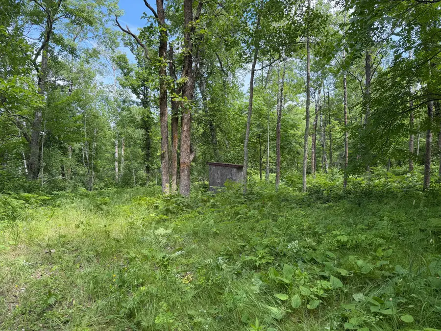 TBD County 95, Laporte, MN 56461 - #2