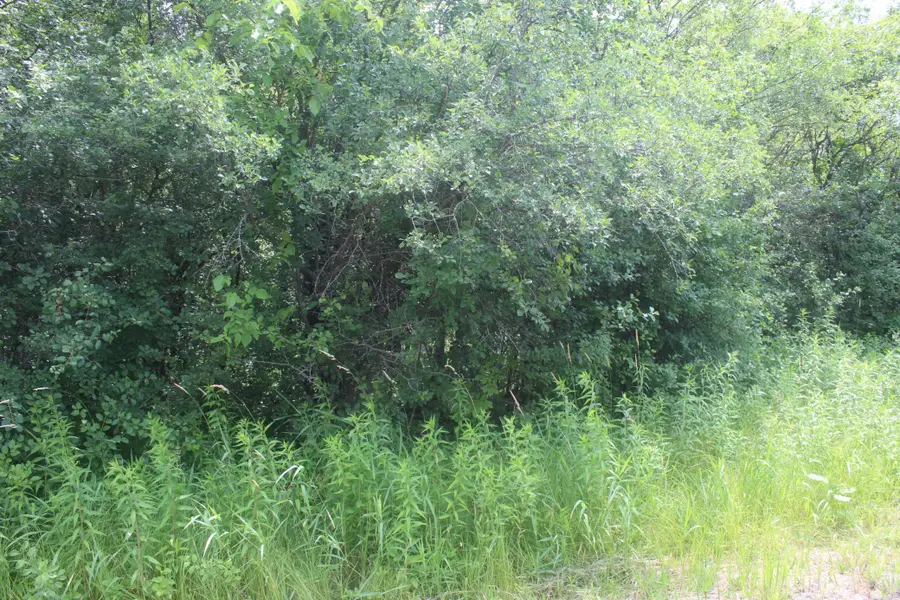 14xxx Green Meadow Road, Milaca, MN 56353 - #2