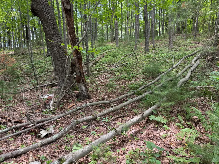 TBD Garden Dr, Siren, WI 54872 - #2