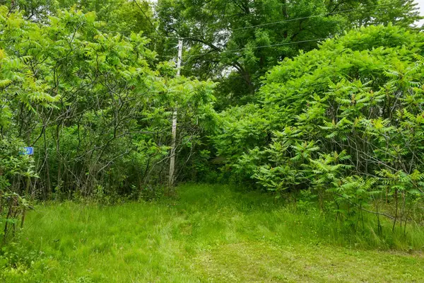 19231 Highwood Shores Road, Pine City, MN 55063